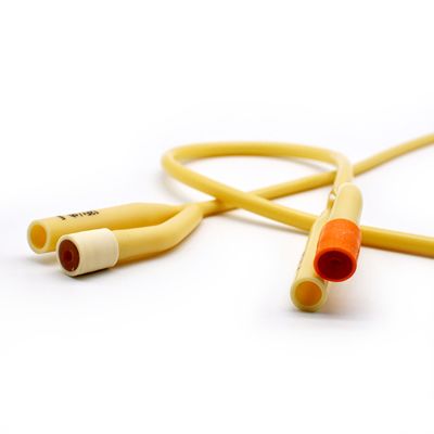 CRANBERRY SONDA FOLEY 8 FR